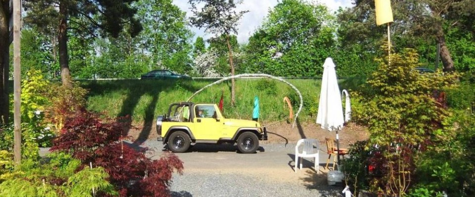 Japanische Ahorn rechts und links des Hauptweges Japanische Ahorn rechts und links des Hauptweges. Bambus-Baumschule Darmstadt. Spezialgärtnerei Ulrich Willumeit. Baumschule Darmstadt Eberstadt