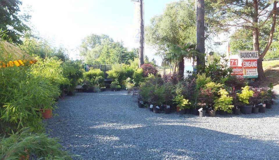 Eingangsbereich zur Bambus Baumschule Willumeit. Beachten Sie unsere Hinweise! Eingangsbereich zur Bambus Baumschule Willumeit. Beachten Sie unsere Hinweise! Bambus-Baumschule Darmstadt. Spezialgärtnerei Ulrich Willumeit. Baumschule Darmstadt Eberstadt