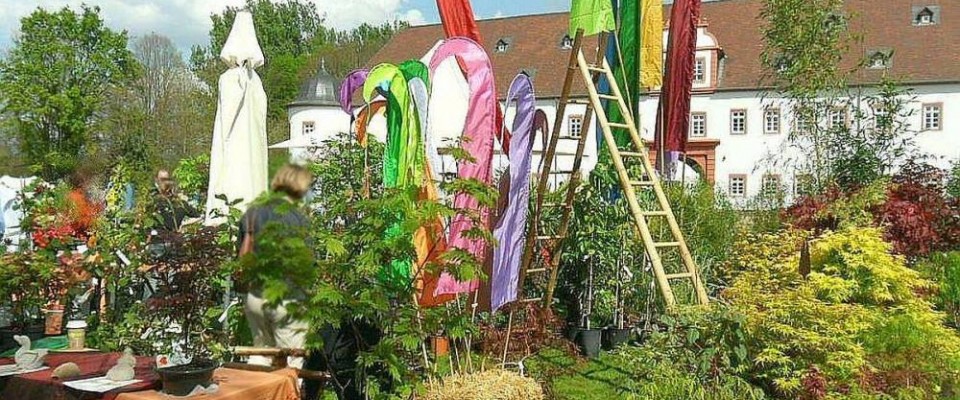 Unser Stand auf einem Gartenmarkt. Bambus-Baumschule Darmstadt. Unser Stand auf einem Gartenmarkt. Bambus-Baumschule Darmstadt. Spezialgärtnerei Ulrich Willumeit. Baumschule Darmstadt Eberstadt